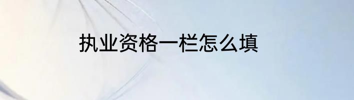 执业资格一栏怎么填