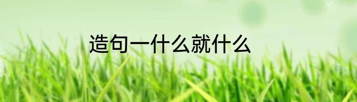 造句一什么就什么