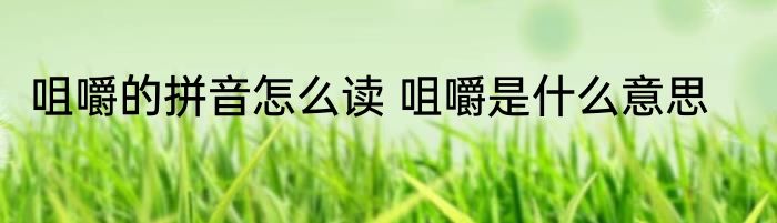 咀嚼的拼音怎么读 咀嚼是什么意思