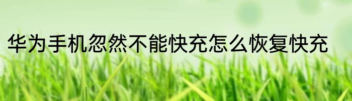 华为手机忽然不能快充怎么恢复快充