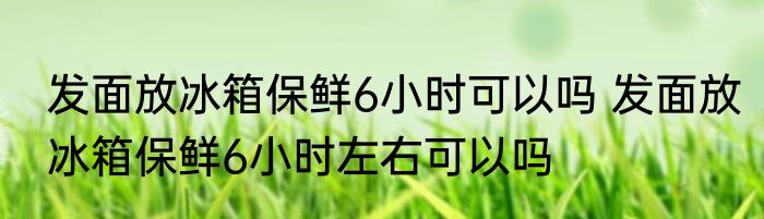 发面放冰箱保鲜6小时可以吗 发面放冰箱保鲜6小时左右可以吗