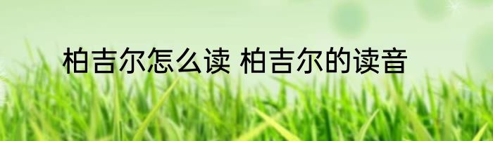 柏吉尔怎么读 柏吉尔的读音