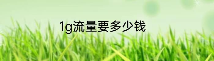 1g流量要多少钱