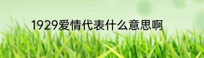 1929爱情代表什么意思啊