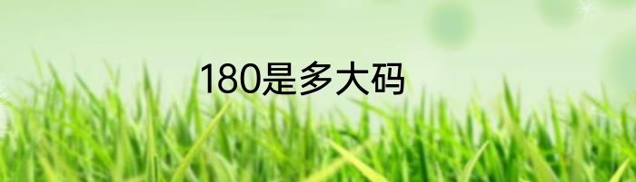 180是多大码