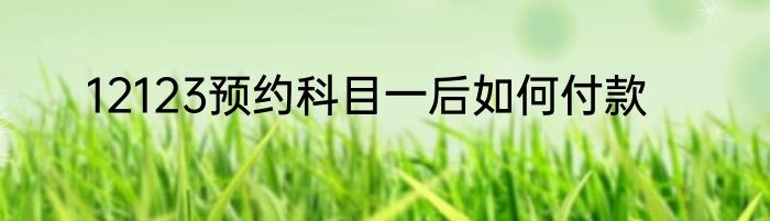 12123预约科目一后如何付款