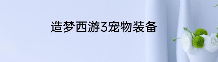 造梦西游3宠物装备
