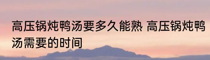 高压锅炖鸭汤要多久能熟 高压锅炖鸭汤需要的时间