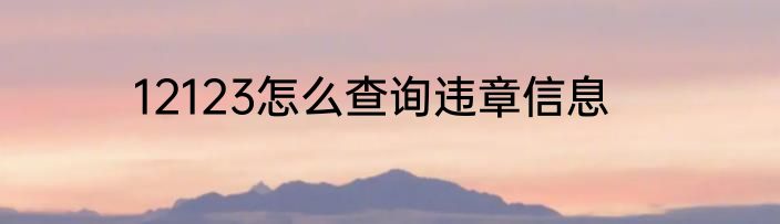 12123怎么查询违章信息
