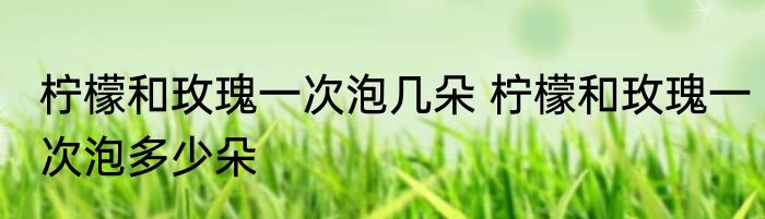 柠檬和玫瑰一次泡几朵 柠檬和玫瑰一次泡多少朵