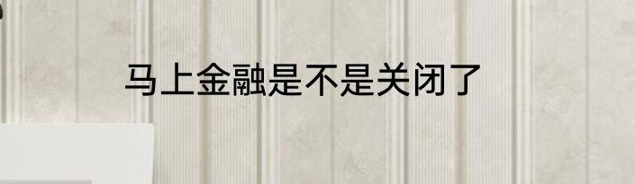 马上金融是不是关闭了