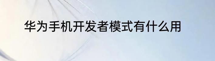华为手机开发者模式有什么用