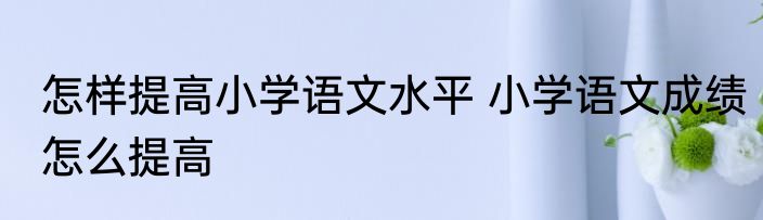怎样提高小学语文水平 小学语文成绩怎么提高