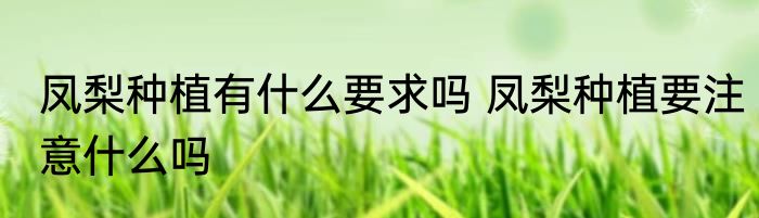 凤梨种植有什么要求吗 凤梨种植要注意什么吗