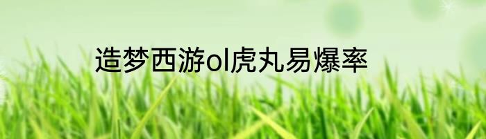 造梦西游ol虎丸易爆率