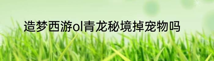 造梦西游ol青龙秘境掉宠物吗