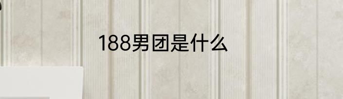188男团是什么