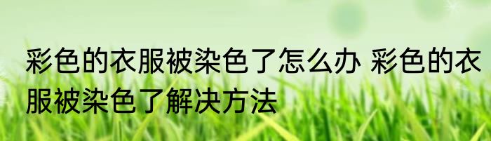 彩色的衣服被染色了怎么办 彩色的衣服被染色了解决方法