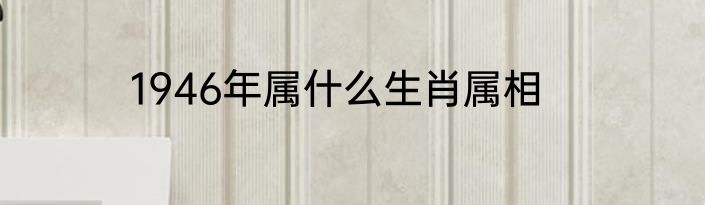 1946年属什么生肖属相