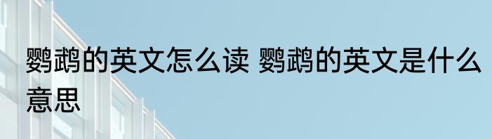 鹦鹉的英文怎么读 鹦鹉的英文是什么意思