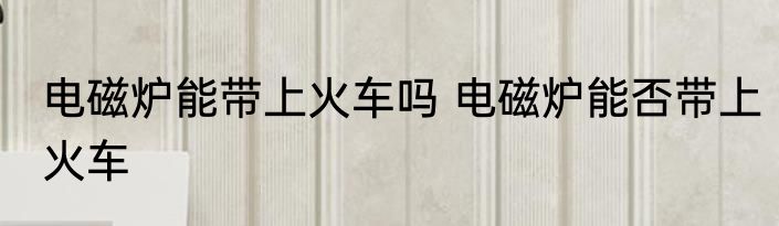 电磁炉能带上火车吗 电磁炉能否带上火车