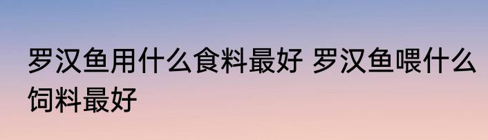 罗汉鱼用什么食料最好 罗汉鱼喂什么饲料最好
