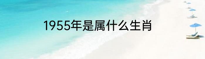 1955年是属什么生肖