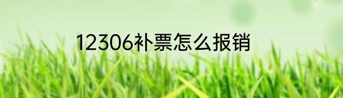 12306补票怎么报销