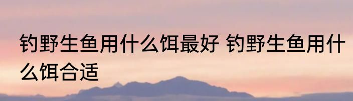 钓野生鱼用什么饵最好 钓野生鱼用什么饵合适
