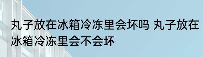 丸子放在冰箱冷冻里会坏吗 丸子放在冰箱冷冻里会不会坏