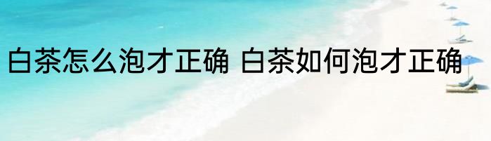 白茶怎么泡才正确 白茶如何泡才正确
