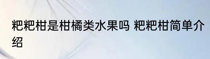 粑粑柑是柑橘类水果吗 粑粑柑简单介绍