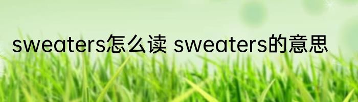sweaters怎么读 sweaters的意思