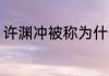 许渊冲被称为什么 许渊冲被誉为啥呢