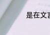 是在文言文中的意思