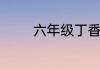 六年级丁香结的含义是什么