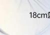 18cm篮球是几号球
