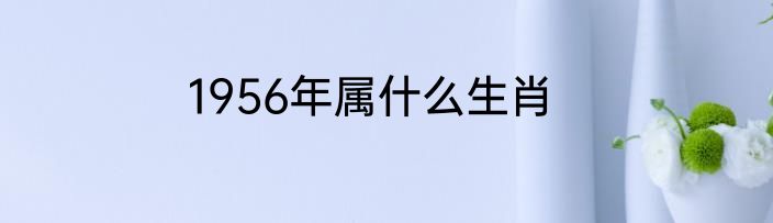 1956年属什么生肖