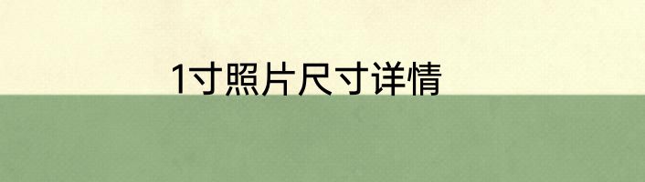 1寸照片尺寸详情