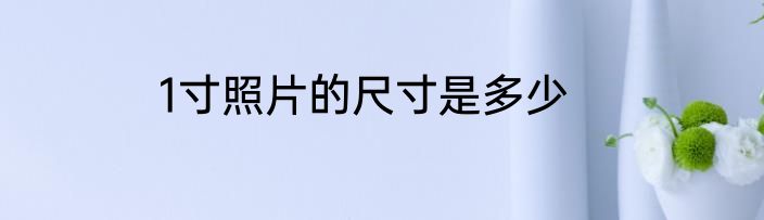 1寸照片的尺寸是多少