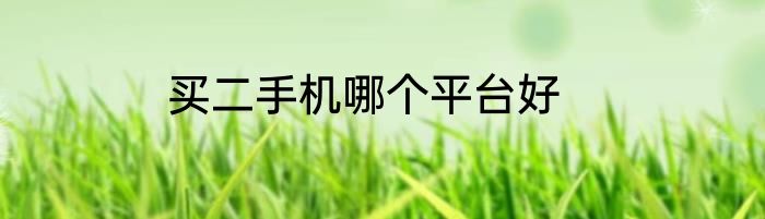 买二手机哪个平台好