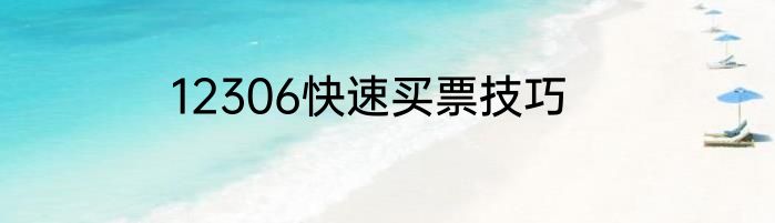 12306快速买票技巧