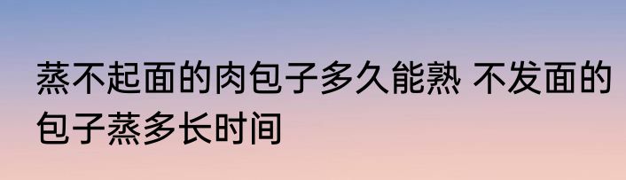 蒸不起面的肉包子多久能熟 不发面的包子蒸多长时间