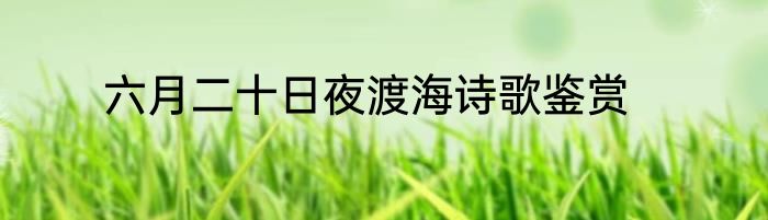 六月二十日夜渡海诗歌鉴赏