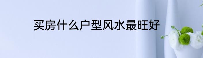 买房什么户型风水最旺好