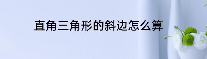 直角三角形的斜边怎么算