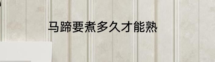 马蹄要煮多久才能熟