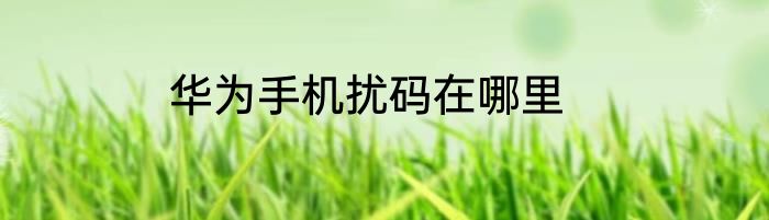 华为手机扰码在哪里