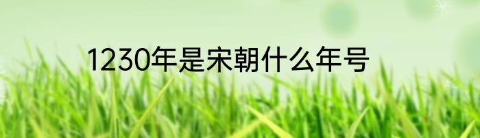 1230年是宋朝什么年号