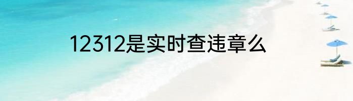 12312是实时查违章么